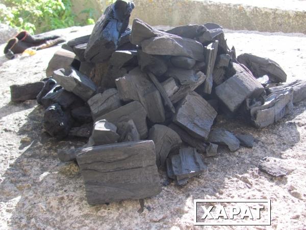 Фото Уголь древесный от производителя