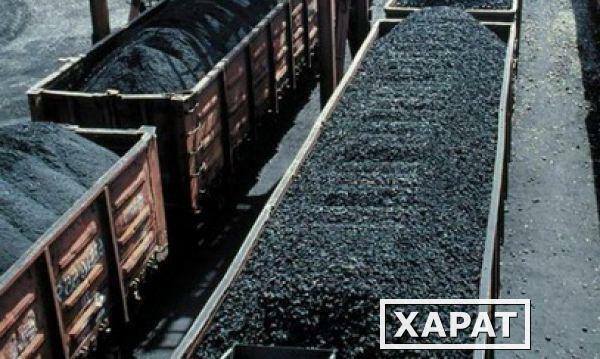 Фото Каменный Уголь в Калининграде