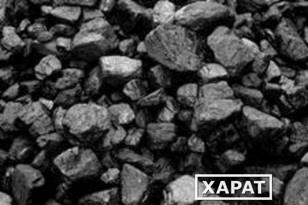 Фото Уголь каменный марки Дг (13-25) мм зола до 15% с ЦОФ