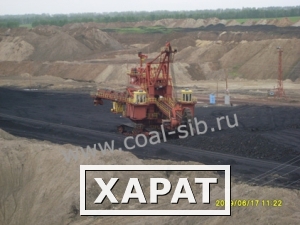 Фото Продажа энергетического и коксующего угля.