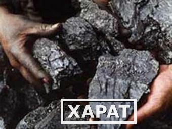 Фото Уголь каменный ДПК с доставкой от 1 тонны.