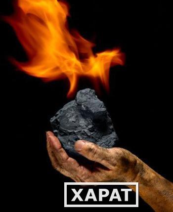 Фото Купить Уголь в Мариуполе