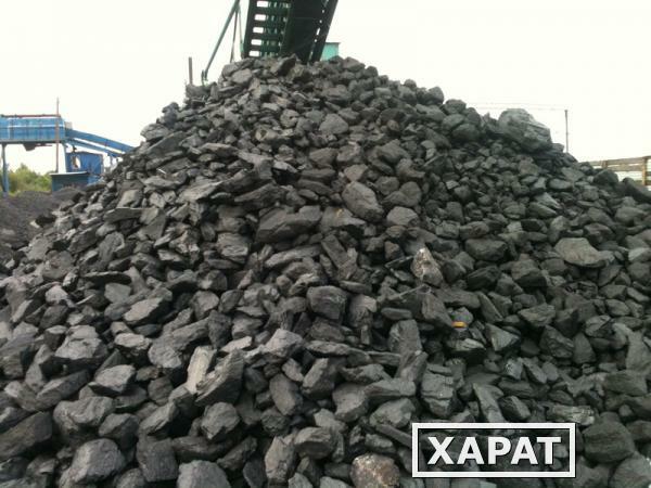 Фото Каменный уголь россыпью с доставкой по Спб и ЛО