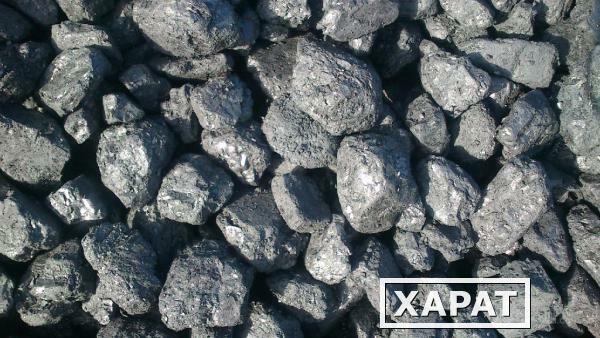 Фото Продажа угля