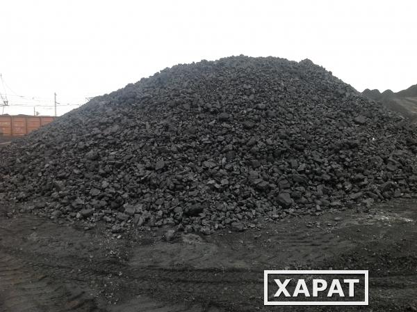 Фото Уголь каменный с Кузбасского бассейна марки ДПК