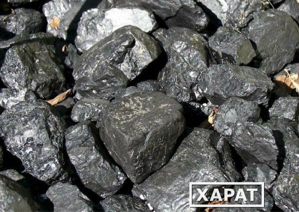 Фото Уголь каменный в Низино