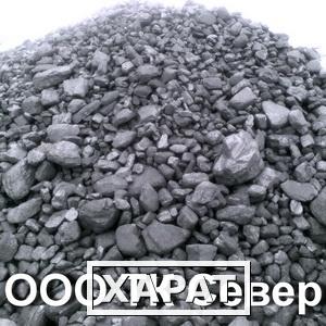 Фото Уголь каменный ТПК (50-300)