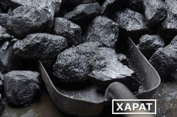 Фото Каменный уголь в Гатчине