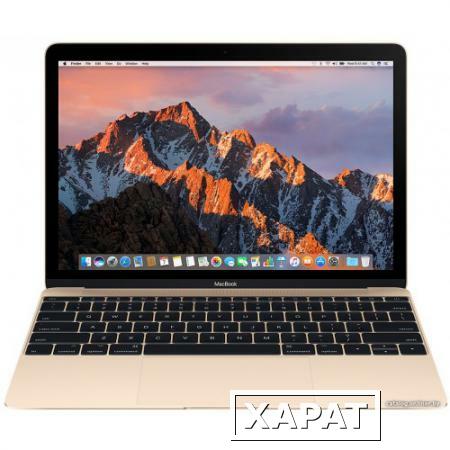Фото Apple Inc. Apple Macbook 12" (2017 Год) [Mnyk2] M3/8Gb/256 Gb Ssd Gold