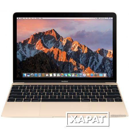 Фото Apple Inc. Apple Macbook 13" (2017 Год) Z0Vp/2 I7/8Gb/512Gb Ssd Gold