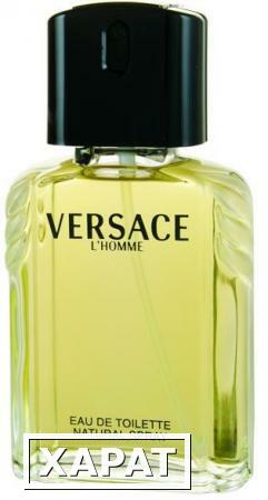 Фото Versace L*Homme 100мл Стандарт