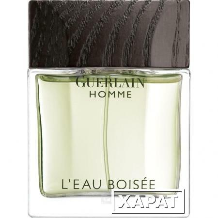 Фото Guerlain homme L*Eau Boisee 80мл Стандарт