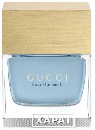 Фото Gucci pour Homme 2 100мл Тестер