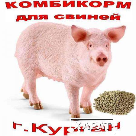 Фото Комбикорм (Гранулы) для откорма свиней до жирных кондиций