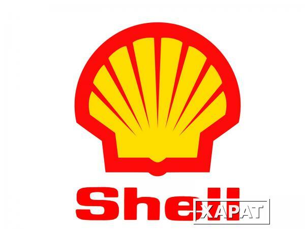 Фото Shell Corena S2 R46