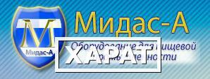 Фото Бланширователь шнековый для овощей и фруктов