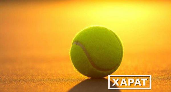 Фото Большой теннис для взрослых и детей москва