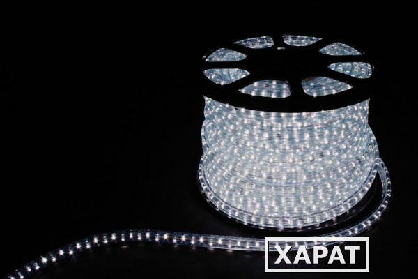 Фото Дюралайт светодиодный Feron LED-R2W 2-х жильный 