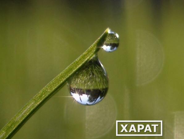 Фото Бурение скважин на воду