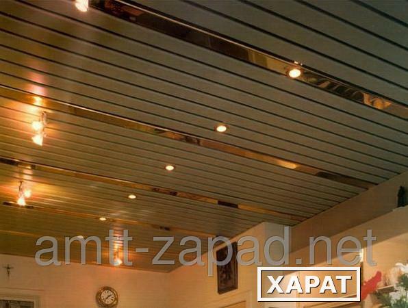 Фото Алюминиевый реечный потолок Радивилов