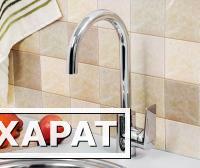 Фото Смеситель для кухни с поворотным изливом WasserKRAFT Lopau 3207