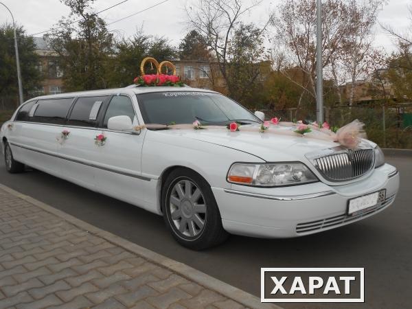 Фото Прокат и аренда лимузина на свадьбу в Оренбурге