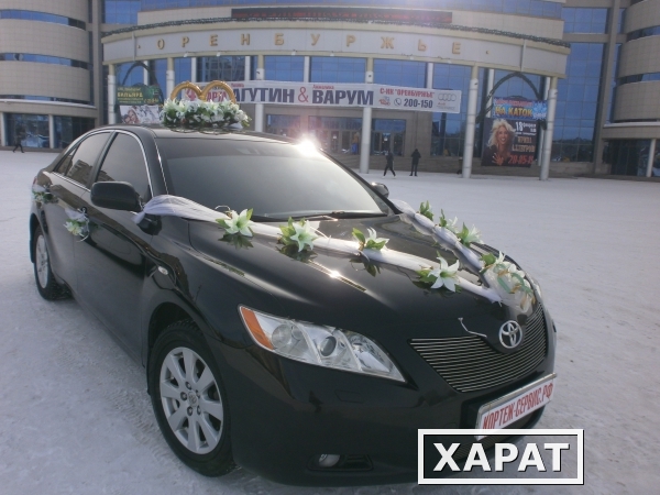 Фото Прокат и аренда автомобилей на свадьбу