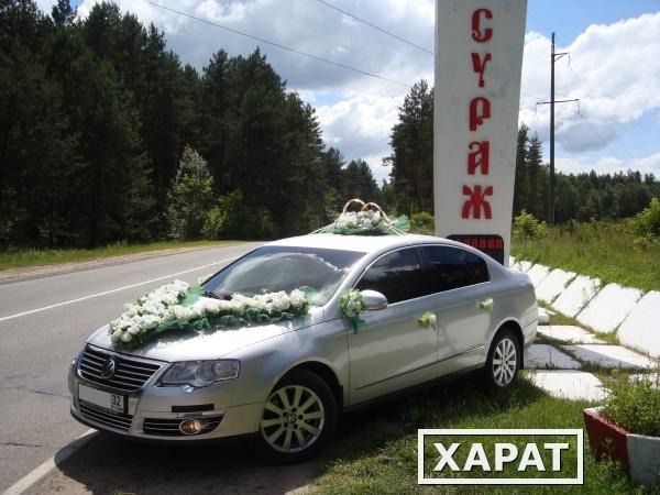 Фото Свадебный кортеж в Сураже