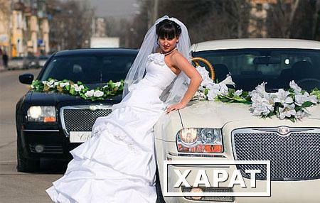 Фото Прокат лимузинов в Нальчике для свадеб