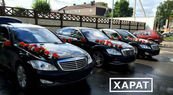 Фото Свадебный кортеж Mercedes-Benz S-class