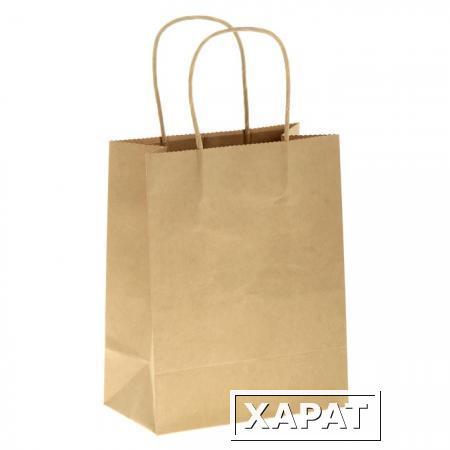 Фото Бумажный пакет с ручками ECO CarrBag tw 240