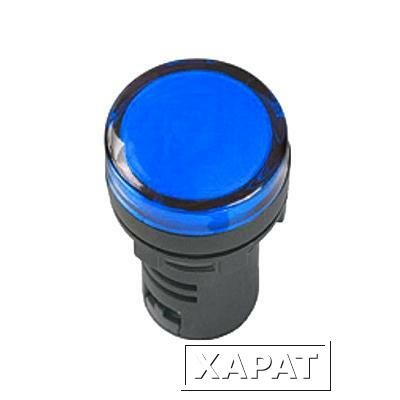 Фото Лампа индикаторная в сборе TDM 220-230В синяя