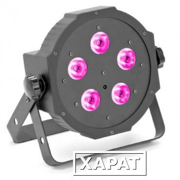 Фото Прожектор ROSS Led flat PAR RGBW 5x10W RC