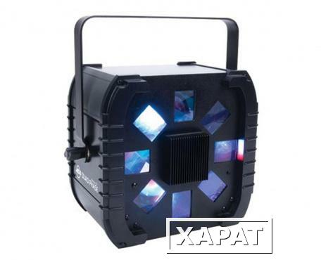 Фото Светодиодный диско-эффект American DJ Quad Phase LED