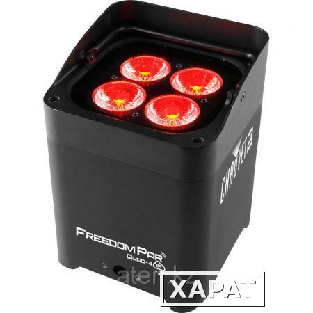 Фото CHAUVET-DJ Freedom Par Quad-4 IP