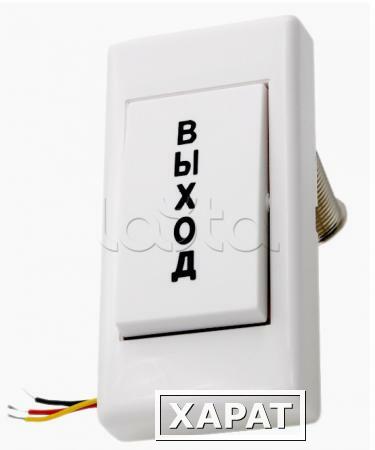 Фото Кнопка STRAZH SR-BP43 ( в наличии)