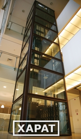 Фото Обзорные лифты