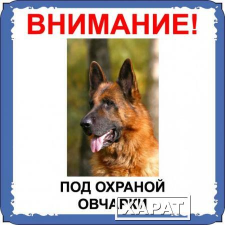 Фото Табличка на металле с собакой 06