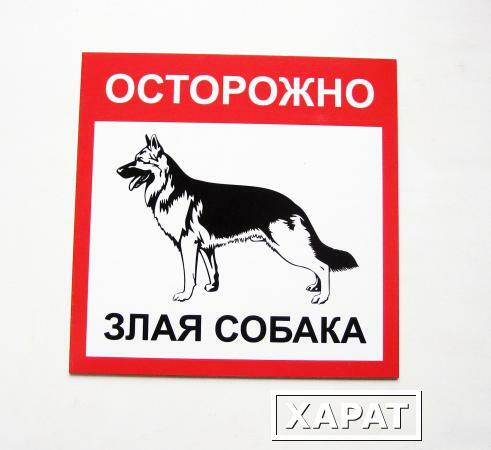 Фото Табличка "Осторожно злая собака"