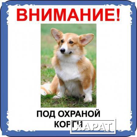 Фото Табличка на металле с собакой 04