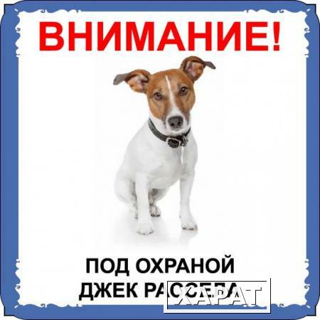Фото Табличка на металле с собакой 02