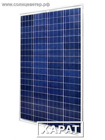Фото Поликристаллический солнечный модуль One-Sun 100P
