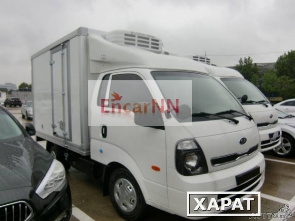 Фото KIA Bongo 2 WD (полуторная кабина) Рефрижератор