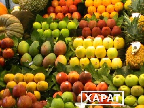 Фото Продажа и доставка овощей и фруктов (опт и розница)