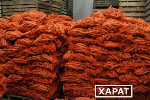 Фото Продаем оптом любую морковь и любые другие овощи из хранилищ по всей России