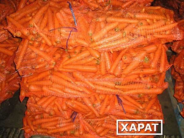 Фото Реализуем морковь оптом. Заходи!