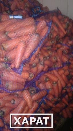 Фото Оптовые продажи мытой крупной моркови.Низкие цены