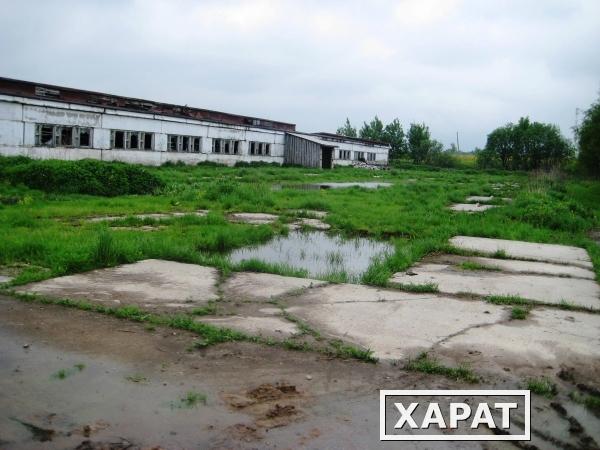 Фото Продается здание коровника. Возможно использование под телятник