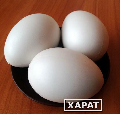 Фото Яйцо искусственное подкладное гусиное (полое)