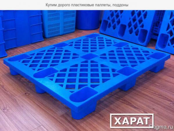 Фото Купим дорого пластиковые паллеты